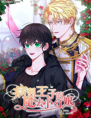 病弱王子的魔法小红娘